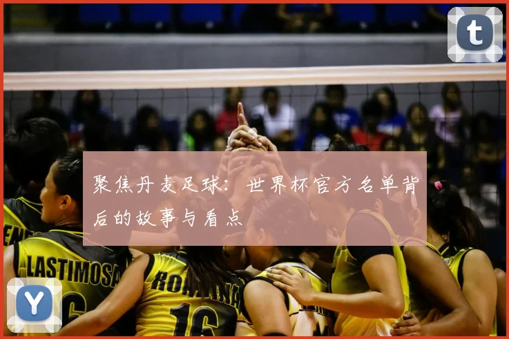 聚焦丹麦足球：世界杯官方名单背后的故事与看点