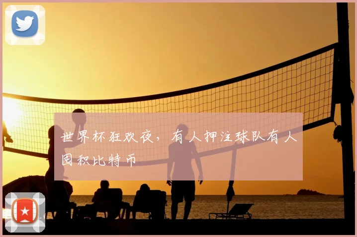 世界杯狂欢夜，有人押注球队有人囤积比特币