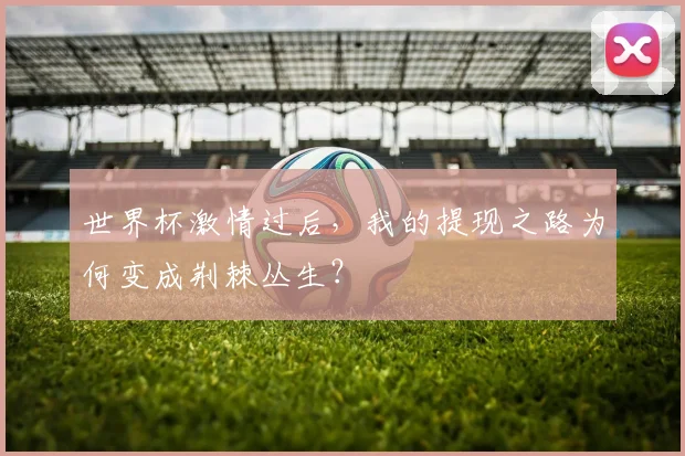 世界杯激情过后，我的提现之路为何变成荆棘丛生？