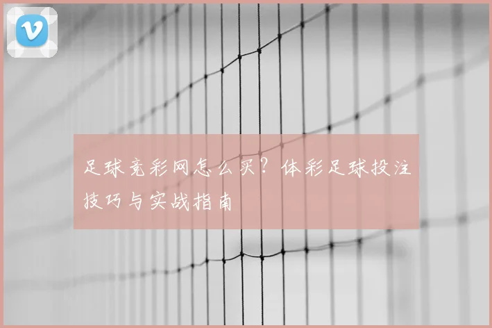 足球竞彩网怎么买？体彩足球投注技巧与实战指南