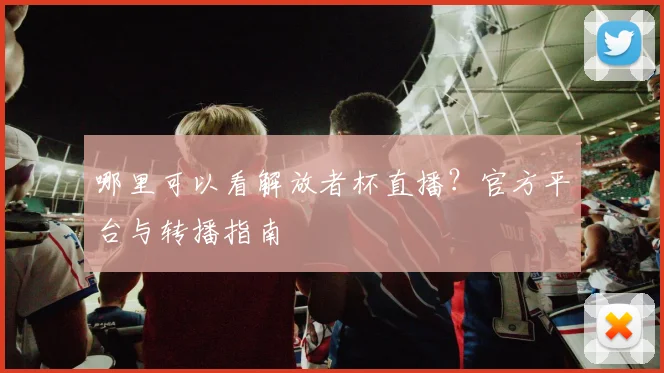哪里可以看解放者杯直播？官方平台与转播指南