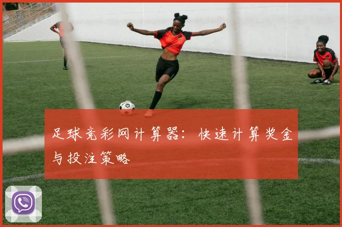 足球竞彩网计算器：快速计算奖金与投注策略