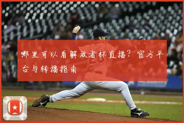 哪里可以看解放者杯直播？官方平台与转播指南