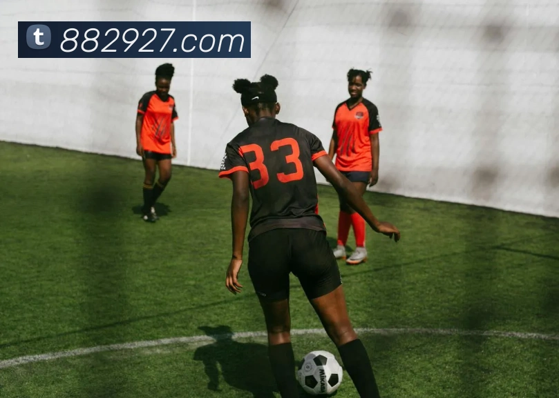 滚球官网app平台生态图