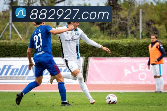 滚球官网appAPP 封面图